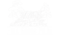 Fall Brook